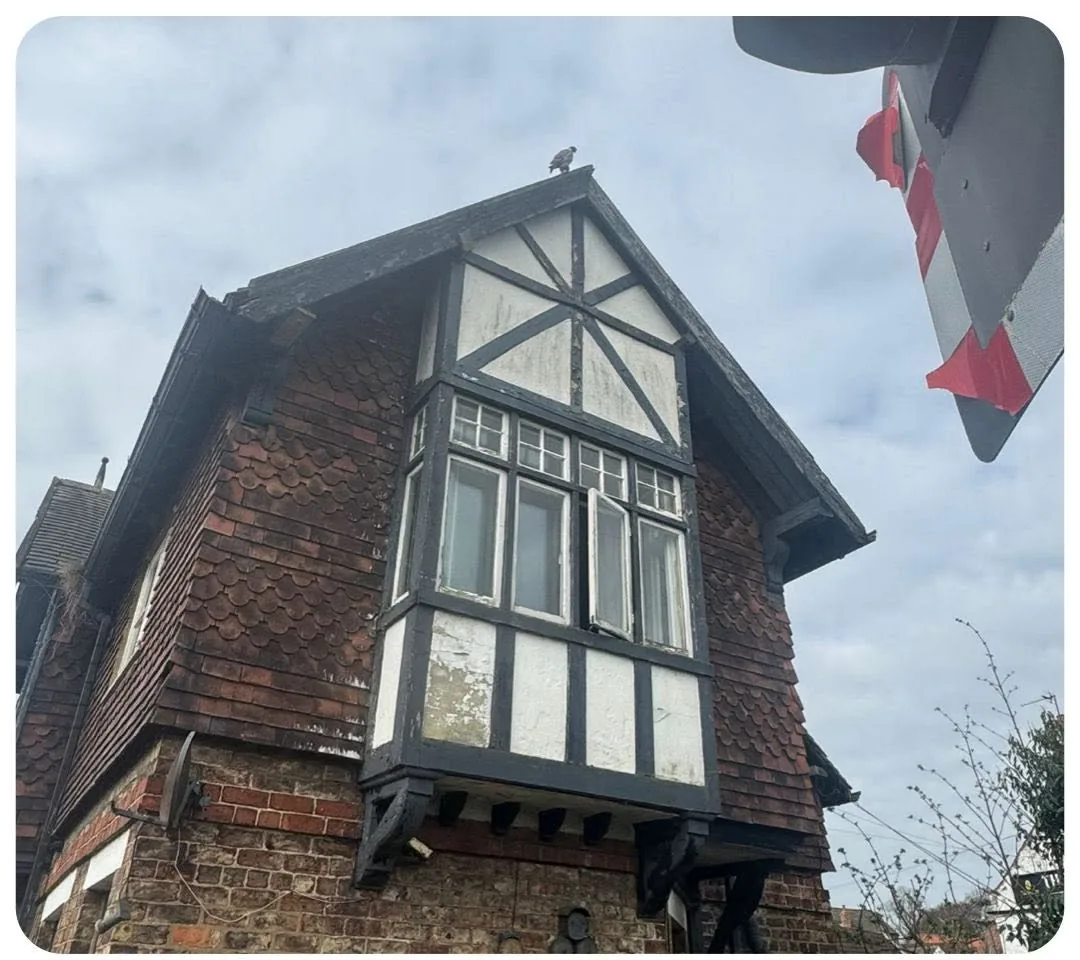 Character property before timber restoration